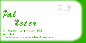 pal meter business card